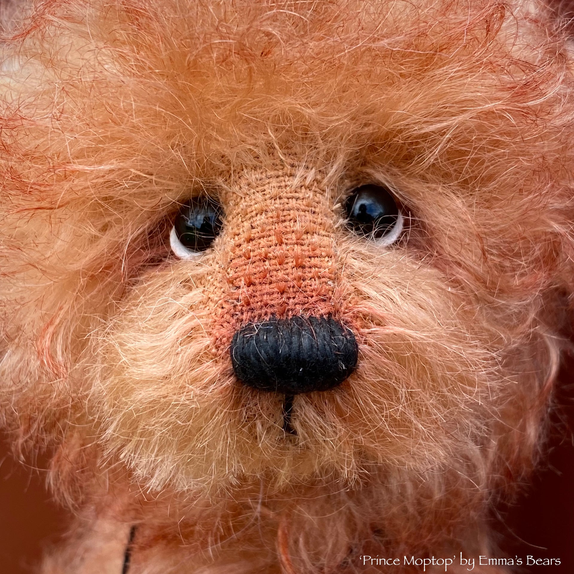 Prince Moptop - 8" Two Tone Mohair Artist Bear by Emma's Bears - OOAK