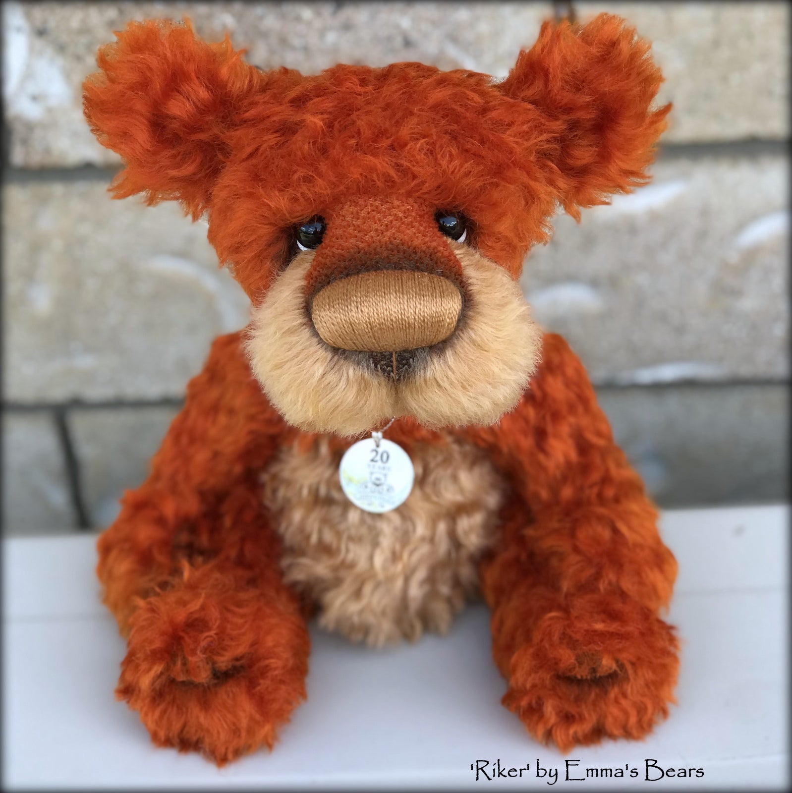 Riker - 20 Years of Emma's Bears Commemorative Teddy - OOAK in a series