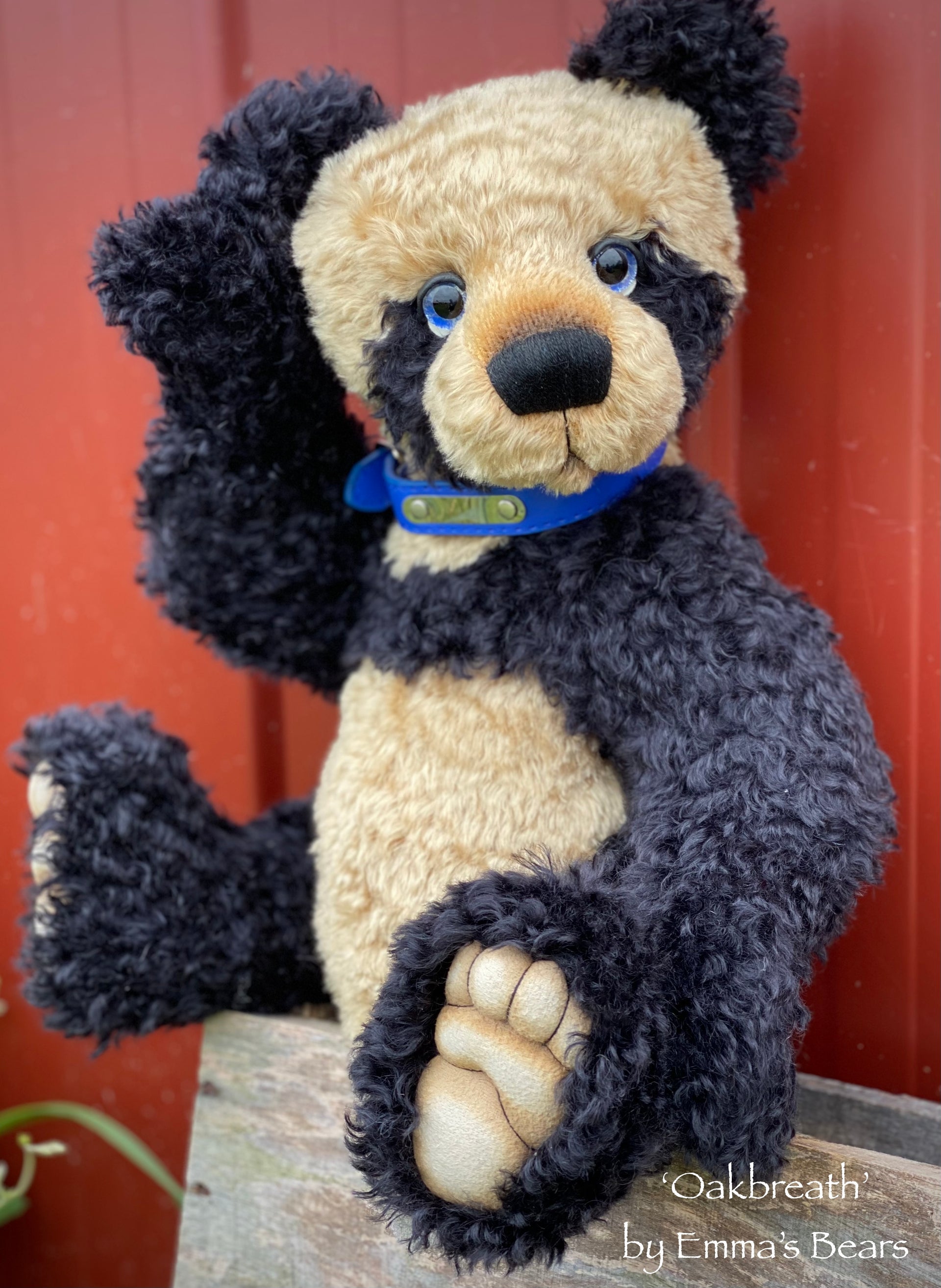 Oakbreath - 18" mohair artist panda bear by Emma's Bears - OOAK