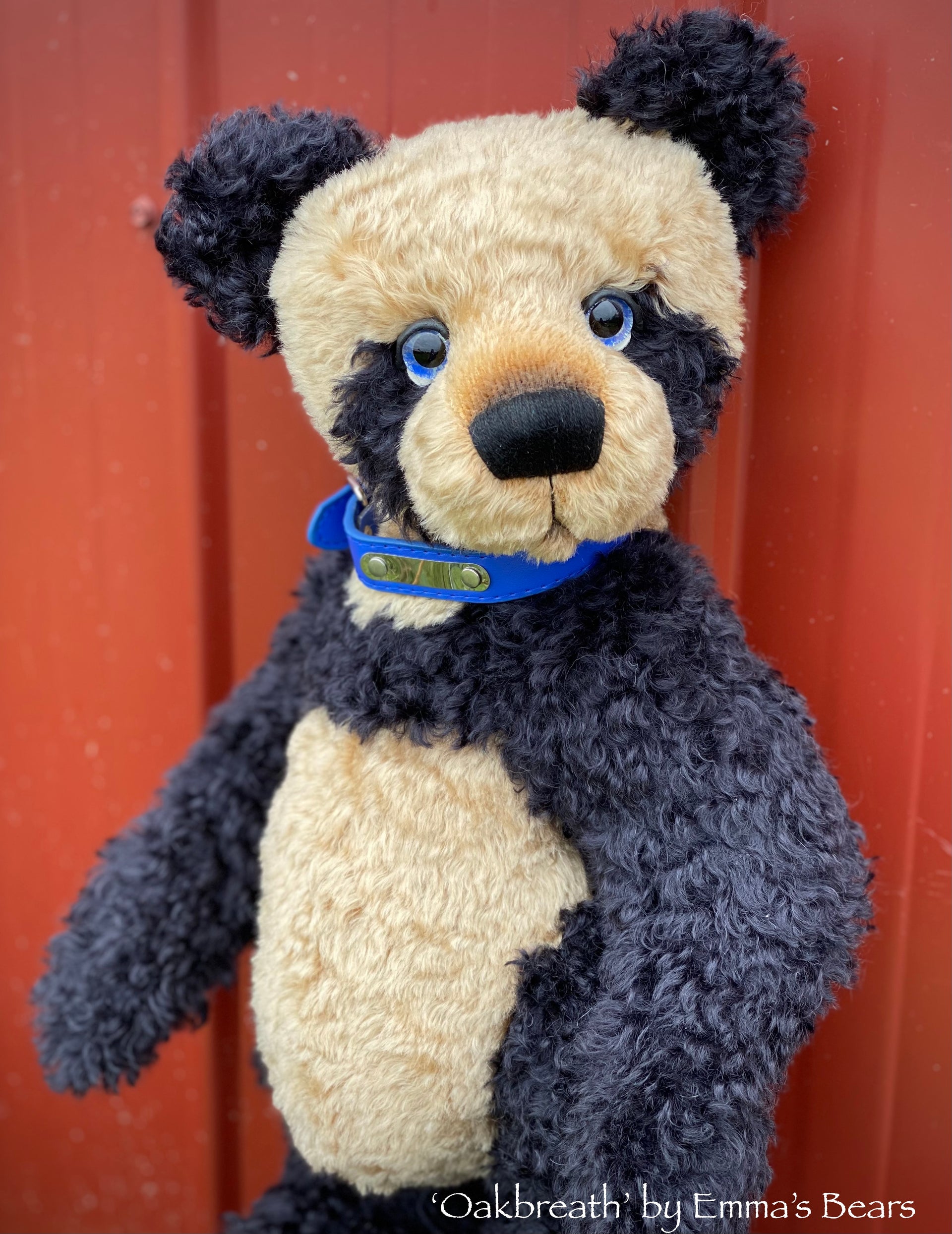 Oakbreath - 18" mohair artist panda bear by Emma's Bears - OOAK