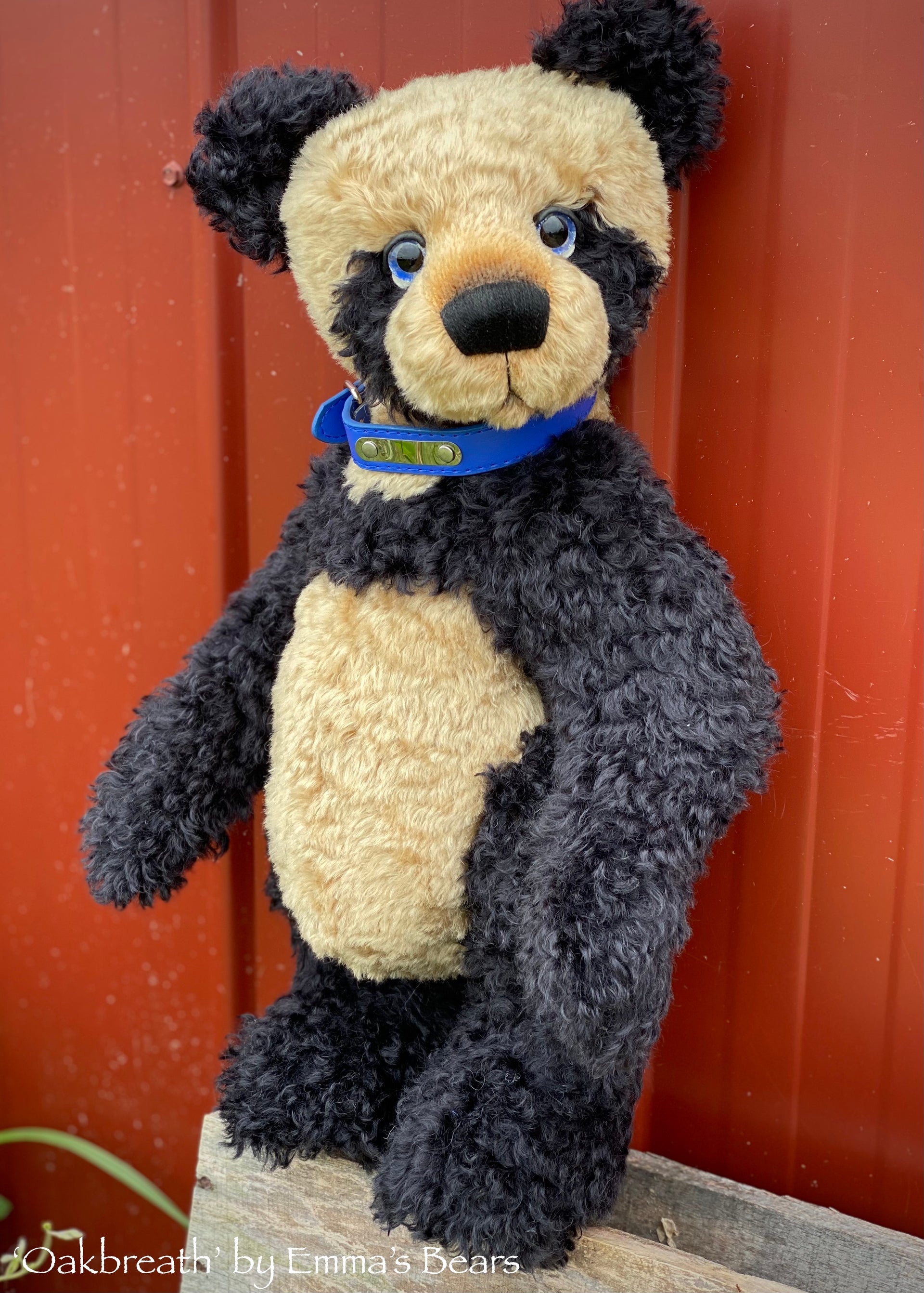 Oakbreath - 18" mohair artist panda bear by Emma's Bears - OOAK