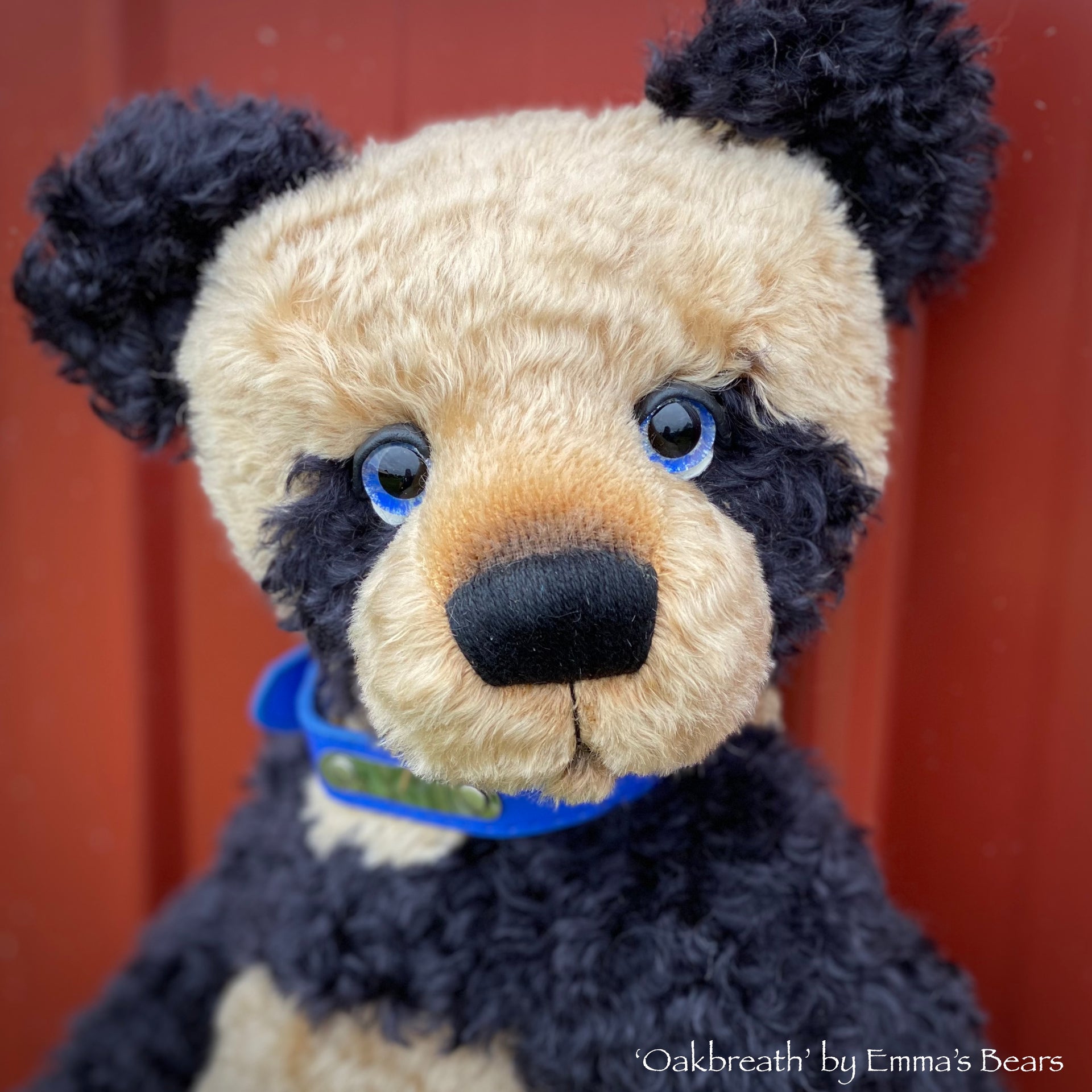 Oakbreath - 18" mohair artist panda bear by Emma's Bears - OOAK