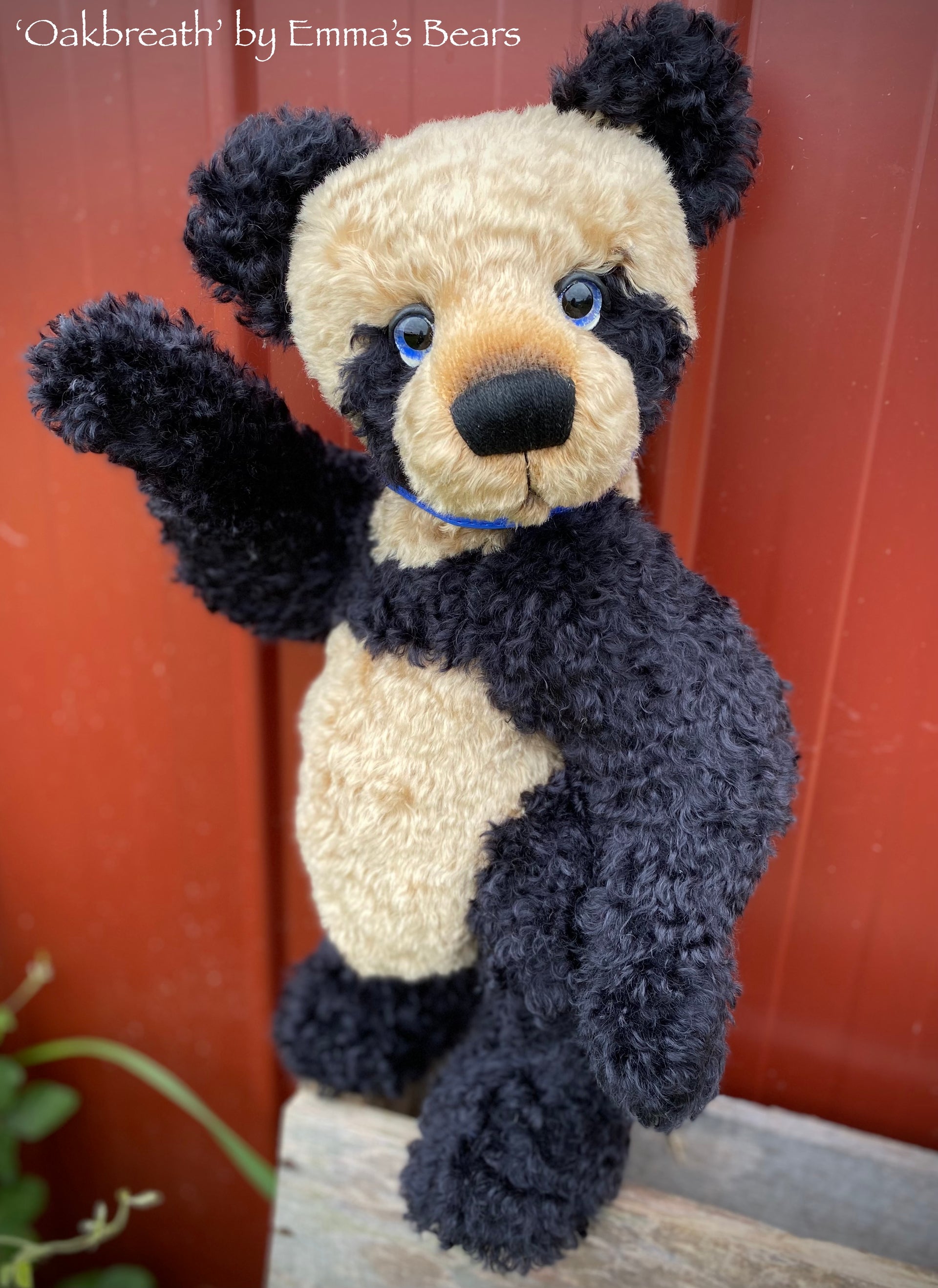 Oakbreath - 18" mohair artist panda bear by Emma's Bears - OOAK