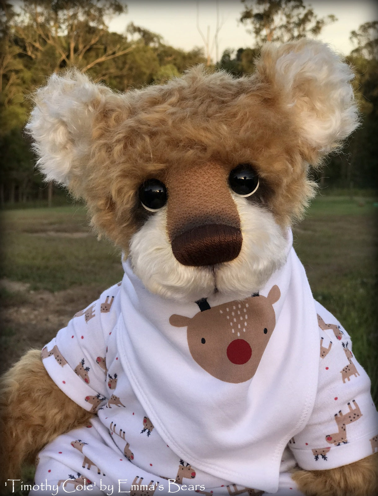 Timothy Cole - 21" Christmas 2018 Toddler Artist Bear by Emma's Bears - OOAK