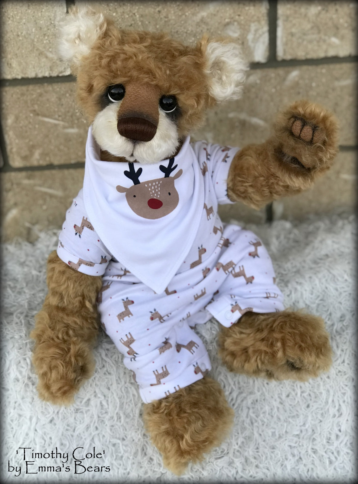 Timothy Cole - 21" Christmas 2018 Toddler Artist Bear by Emma's Bears - OOAK