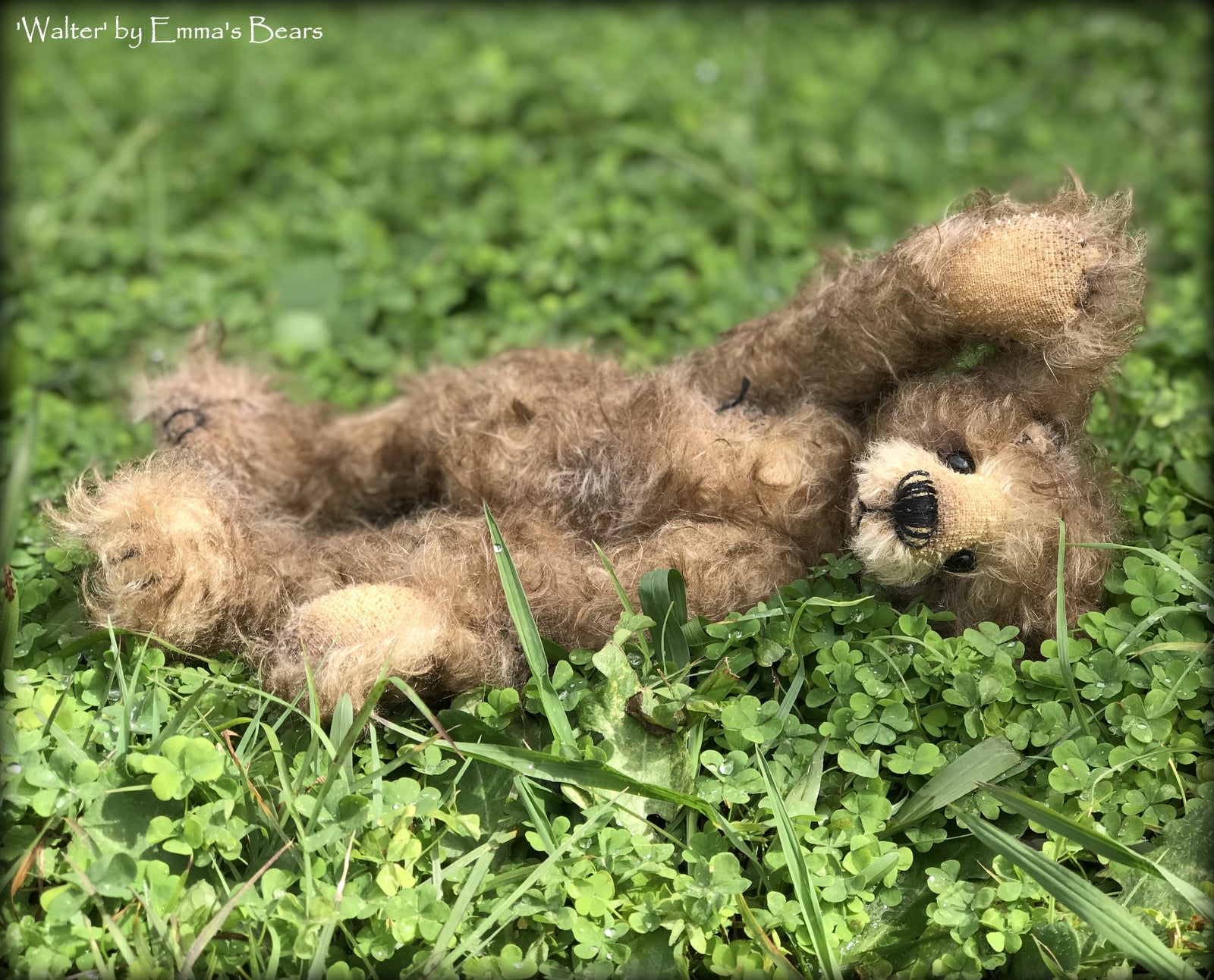Walter - 10" Mohair Artist Bear by Emma's Bears - OOAK
