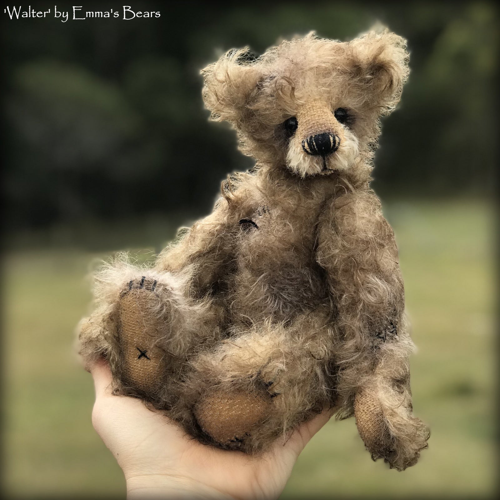 Walter - 10" Mohair Artist Bear by Emma's Bears - OOAK
