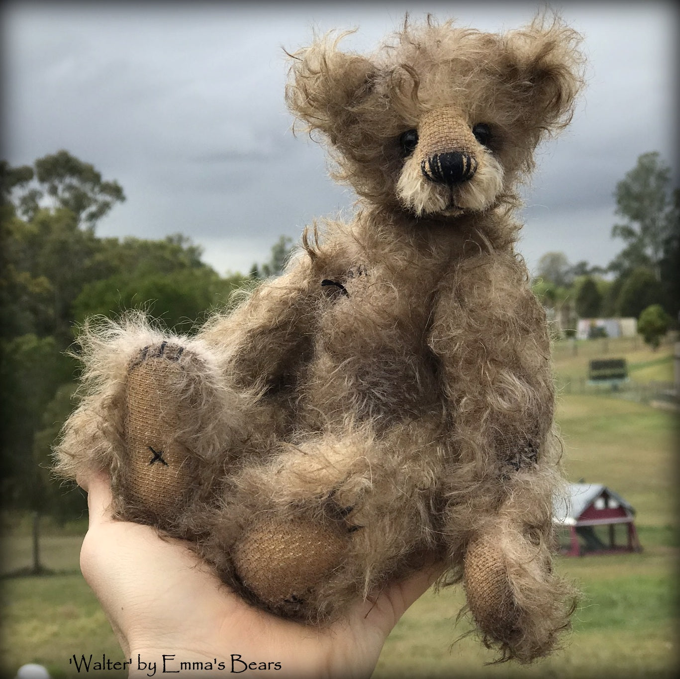 Walter - 10" Mohair Artist Bear by Emma's Bears - OOAK
