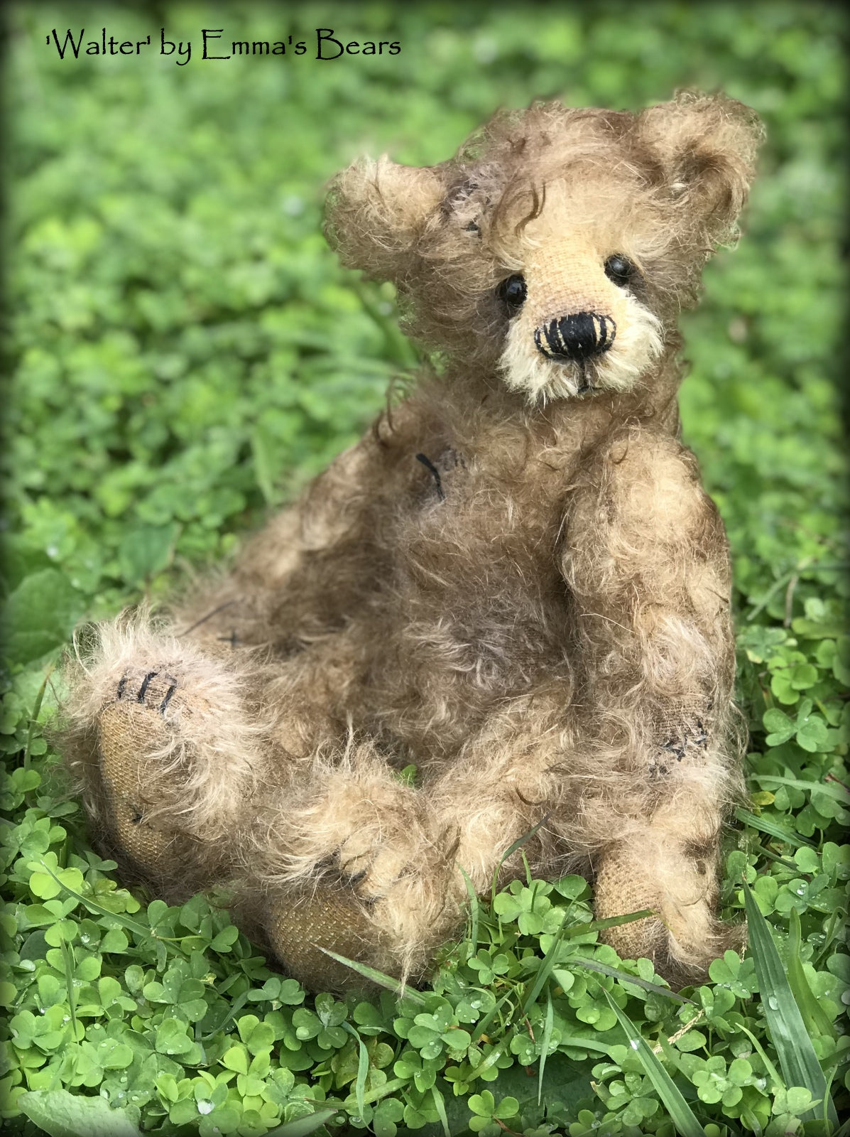 Walter - 10" Mohair Artist Bear by Emma's Bears - OOAK