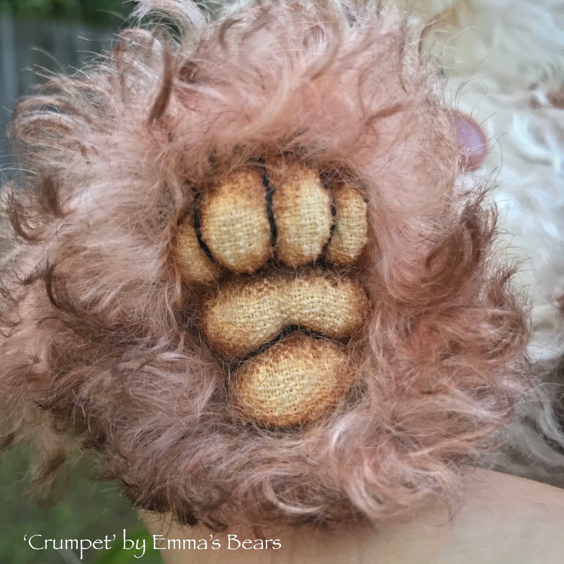 Crumpet - 8" Mohair Artist Bear by Emma's Bears - OOAK
