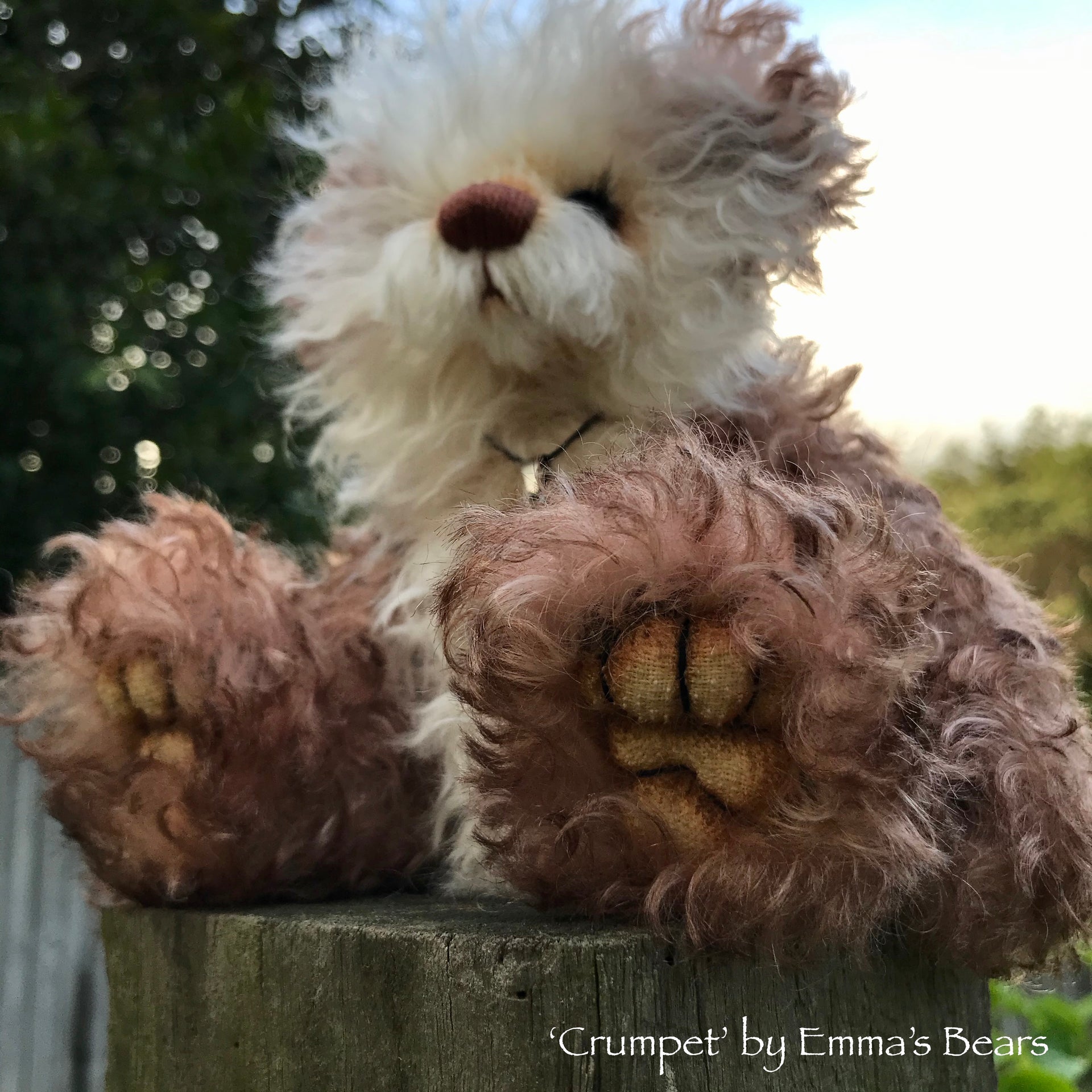 Crumpet - 8" Mohair Artist Bear by Emma's Bears - OOAK