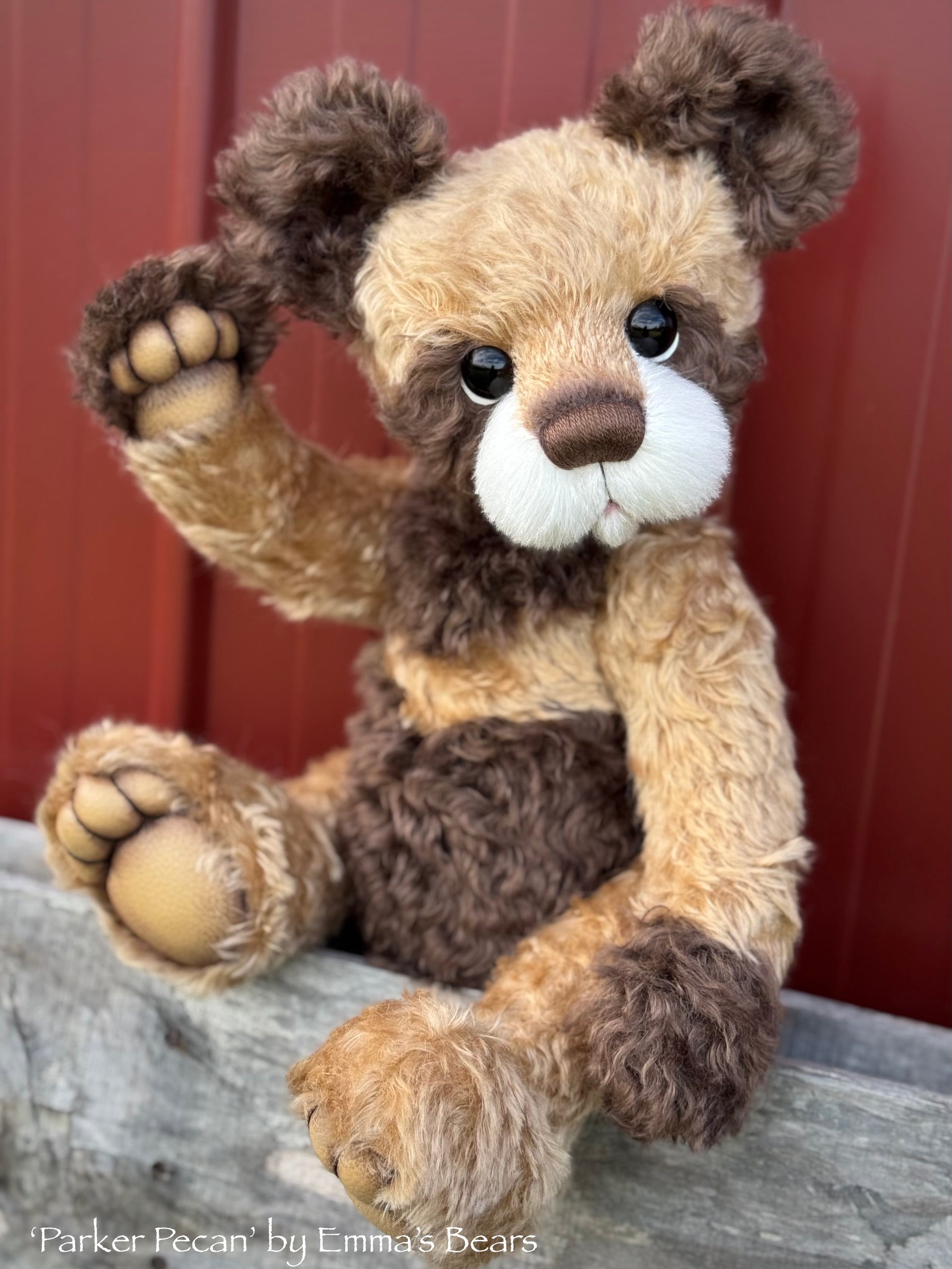 Parker Pecan - 19" Christmas 2024 Artist Bear by Emma's Bears - OOAK