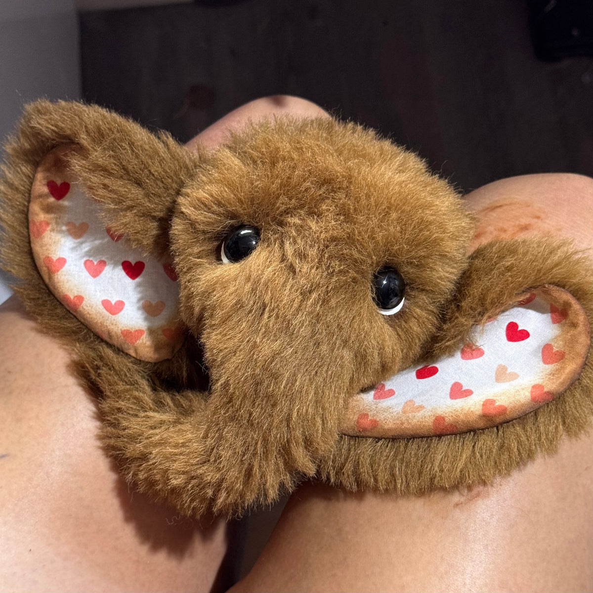 KITS - 10" Amore Artist Elephant Teddy by Emmas Bears