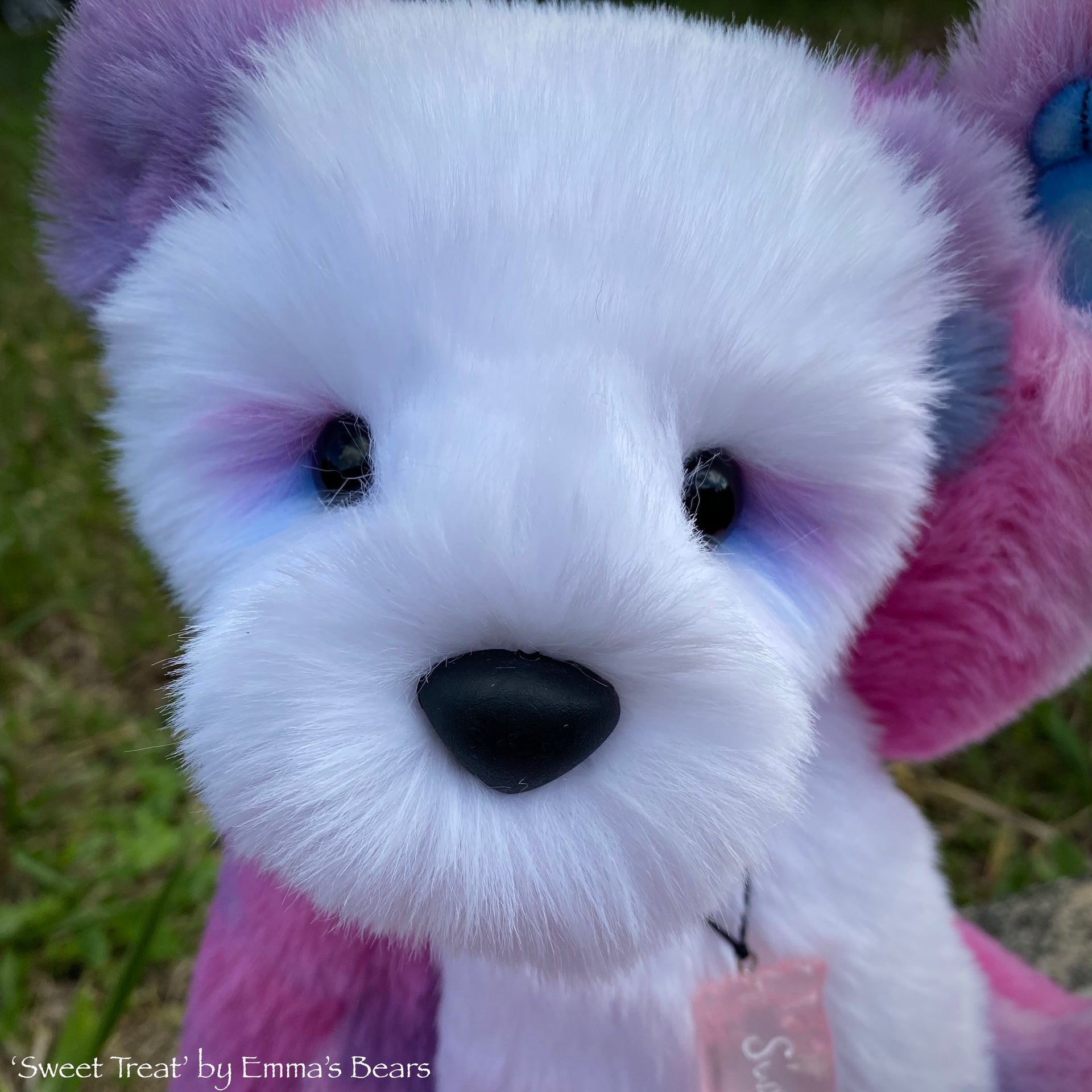 Sweet Treat - 13" faux fur Artist Bear by Emmas Bears - OOAK