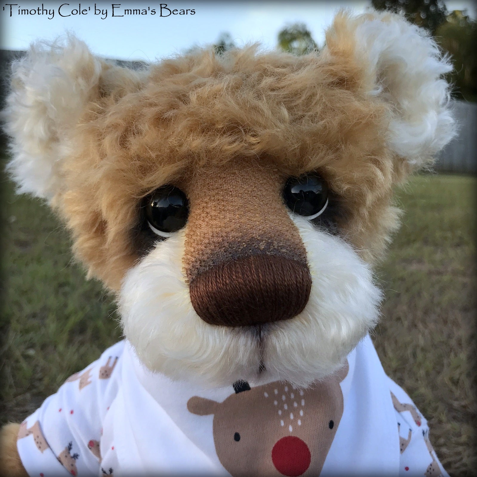 Timothy Cole - 21" Christmas 2018 Toddler Artist Bear by Emma's Bears - OOAK