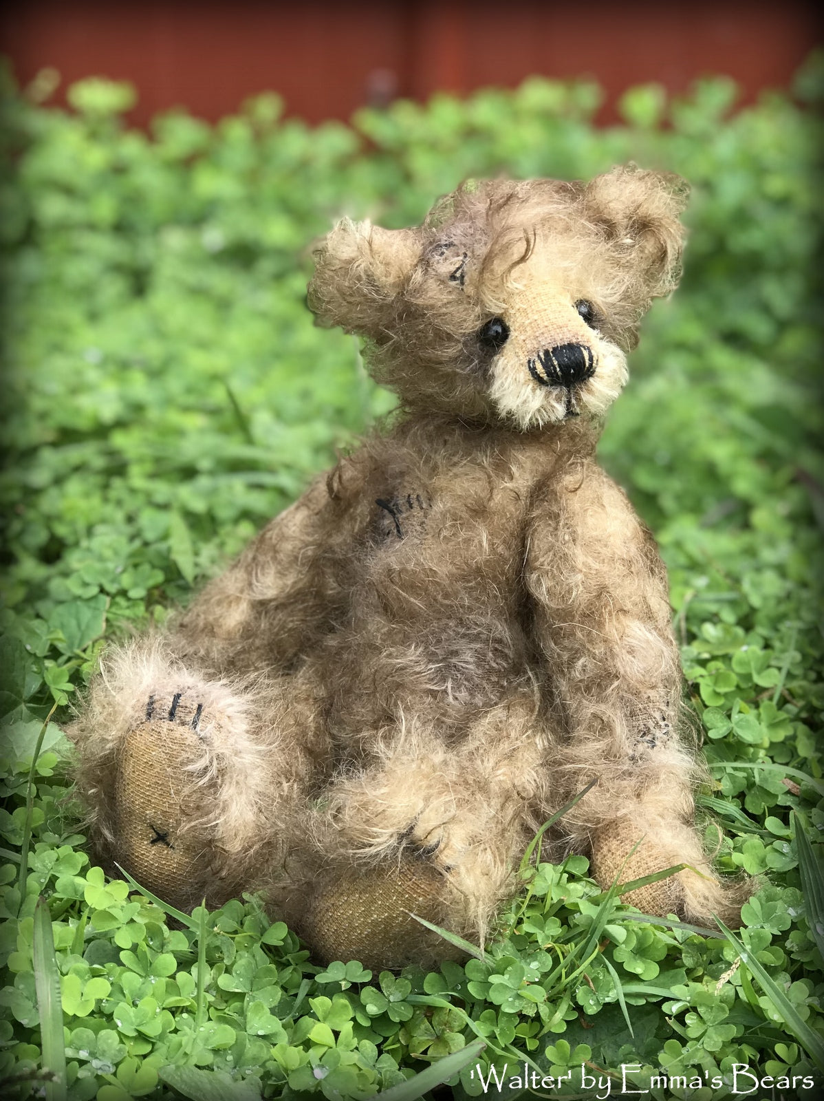 Walter - 10" Mohair Artist Bear by Emma's Bears - OOAK